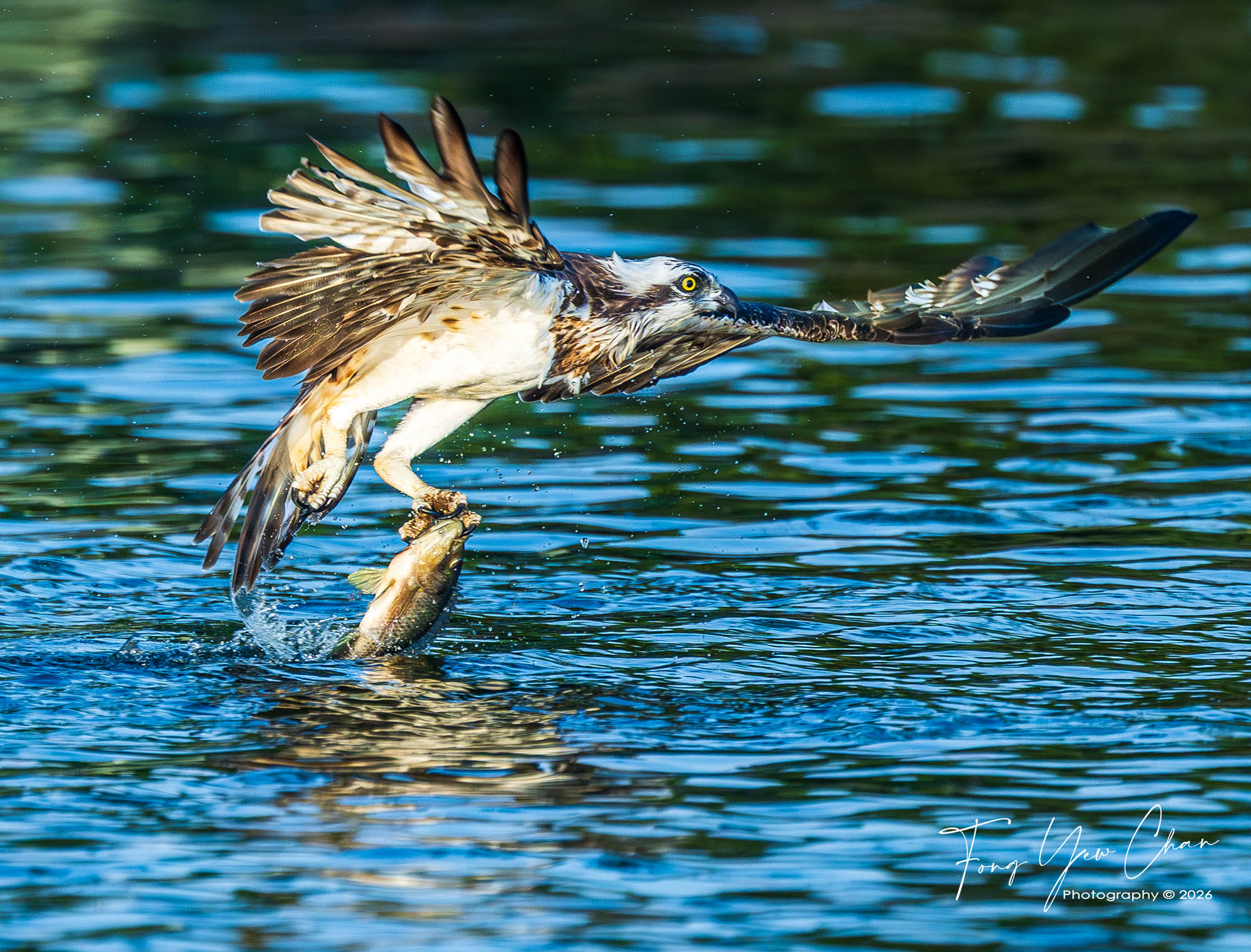 Krabi Overseas Workshop, Jan 2026